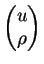 $ \begin{pmatrix}u \\  \rho \end{pmatrix}$
