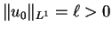 $ \Vert u_{0} \Vert _{L^1} = \ell > 0$