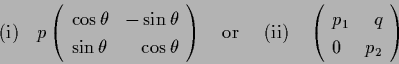 \begin{displaymath}
{\rm (i)} \ \ \
p\left(
\begin{array}{lr}
\cos{\theta} & ...
...1} & q \\
0 & p_{2}
\end{array}\right) \qquad \qquad \qquad
\end{displaymath}